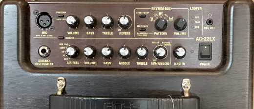 Store Special Product - BOSS - AC-22LX